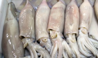 墨斗鱼怎么清洗（墨斗鱼怎么清洗视频）