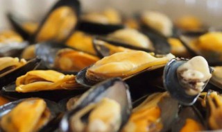 海虹什么季节吃（青岛海虹什么季节吃）