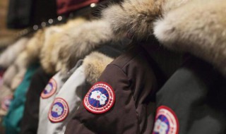 加拿大鹅能干洗嘛 加拿大鹅可以在干洗店洗吗