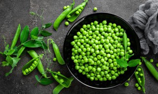 青豌豆的作用与功效（青豌豆有什么药用价值）