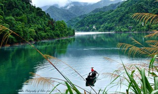 如何让池塘里的浑水变清（如何把池塘浑水变清）