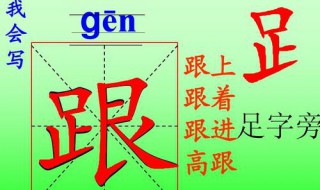 足字旁的字有哪些（足字旁的字有哪些一年级上册）