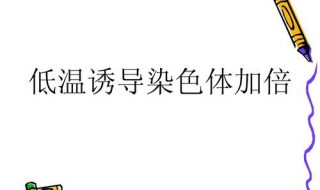 低温诱导有什么优点（低温诱导的优点）