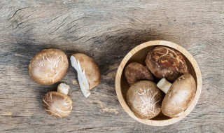 生料种香菇管理方法 生料栽培香菇有什么绝招 视频