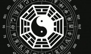 八字身弱身旺哪种命好(八字身弱身旺哪种命好一点)