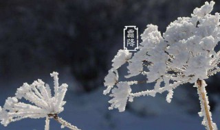 霜降不能吃什么 霜降忌口