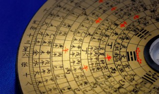 大林木命的忌讳什么 大林木命忌讳什么生意