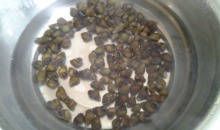 螺丝怎么养殖 养一亩田螺有多少利润