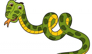 蛇在什么情况下会咬人 蛇在什么情况下会咬自己