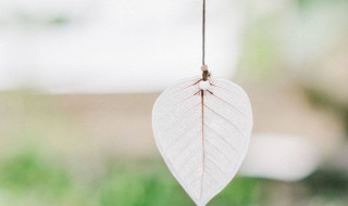 2021年已接近尾声说说文案（2020接近尾声说说）