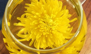 婺源皇菊的功效与作用（婺源皇菊价格）