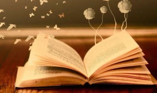 单字好听的女孩子名字（单字好听的女孩子名字有哪些）