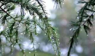 毛毛细雨像什么 毛毛细雨像什么二年级