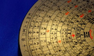 杨柳木命爱情里最忌讳的是什么 杨柳木命啥意思?