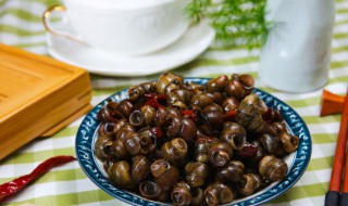 田螺在家怎么养不会死 田螺家里怎么养