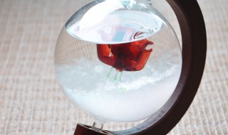 风暴瓶原理 风暴瓶制作