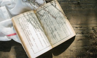 少年闰土中的我是不是鲁迅 少年闰土文中的我是谁