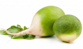 青萝卜的营养价值(白萝卜和青萝卜的营养价值)