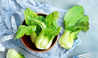 白菜相克的食物（白菜相克的食物香哈网）