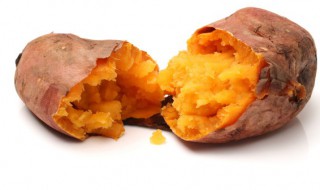 地瓜粉是什么 地瓜粉是什么粉和红薯粉有什么区别