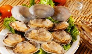 西施舌的营养价值 西施舌是什么菜