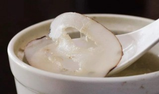 海底椰具体是什么 海底椰到底是什么