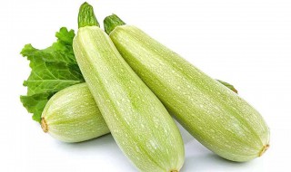 西葫芦是什么（西葫芦是什么科植物）