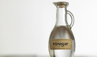 醋相克的食物（醋相克的食物表）