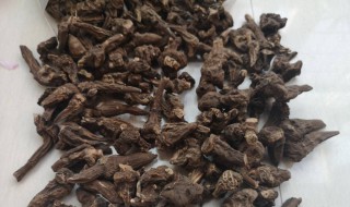 川乌头和草乌头的区别是什么（川乌头和草乌头的区别是什么呢）