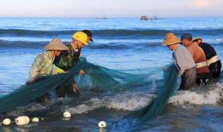 如何用地笼网抓大鱼（如何用地笼网抓大鱼）