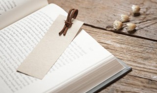 饕餮盛宴怎么读（饕餮耄耋怎么读）