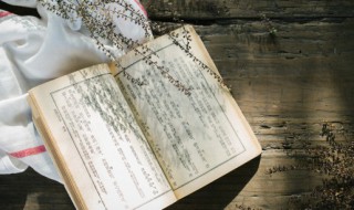 圣迭戈怎么读（阪怎么读）