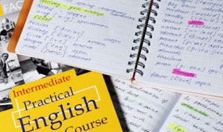 furry怎么读 badger