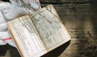 鸊鷉怎么读（齉龘齉齾爩麤龗灪龖厵纞虋怎么读）