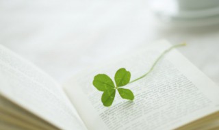 惙怎么读（缀的读音）