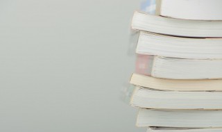 红隼怎么读 红隼鸟多少钱一只