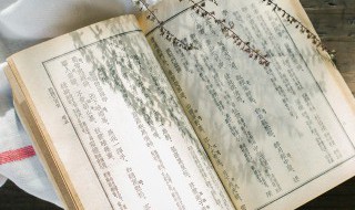 波钦这两字的含义（一分钟了解波什）