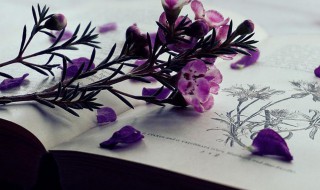 独特大气女孩名字大全（独特大气女孩名字大全四个字）