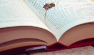 简单顺口的男孩名字大全 简单大方顺口男孩名字2020