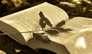 男孩稀有好听的诗词名字大全 男孩稀有好听的诗词名字大全四个字