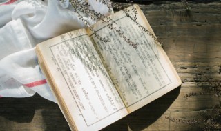 诗经里非常好听的名字(诗经里面好名字)