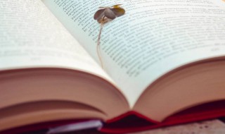 天花乱坠的意思（青梅竹马的意思）