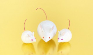 梦见老鼠的各种寓意（梦见老鼠的各种寓意是什么）