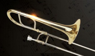 长号怎么清洗（长号怎样保养）