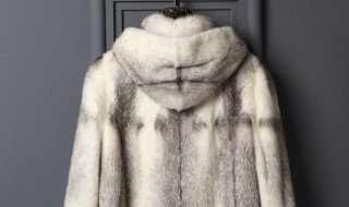 貂怎么洗 貂怎么洗在家里