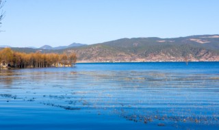 清明节适合旅游的地方 清明节适合旅游的地方在成都