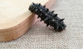 怎么发干海参最佳方法 怎么发干海参最佳方法窍门