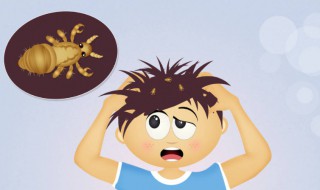 去牛虱子最简单的方法 去牛虱子最简单的方法视频