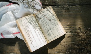 兔子不吃窝边草下一句 兔子不吃窝边草下一句才是精华