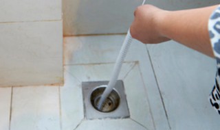 厕所堵了用什么方法通